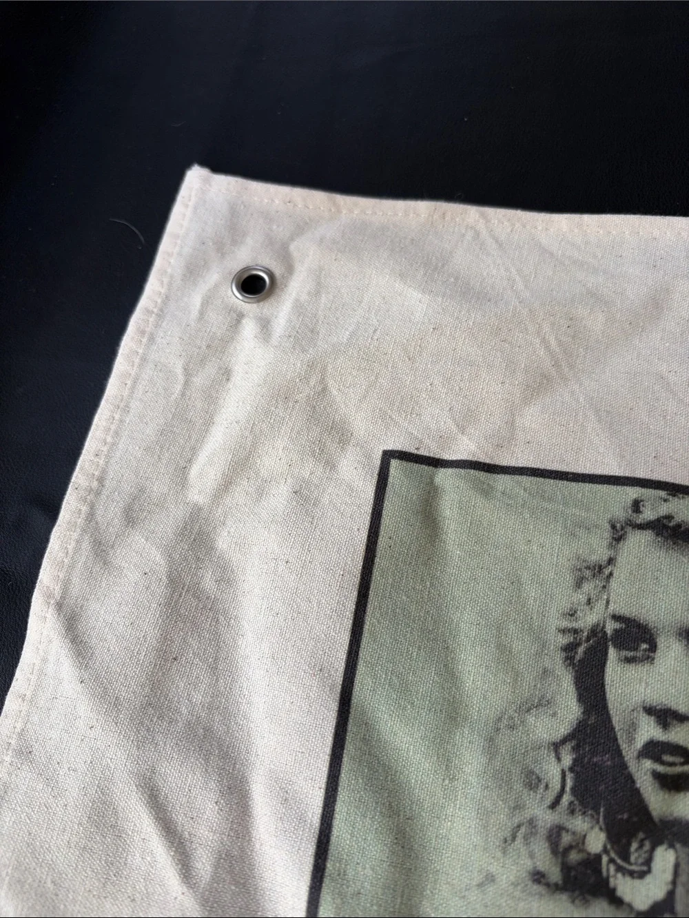 Taylor Swift The Eras Tour Fabric Wall Banner Tapestry 31x48